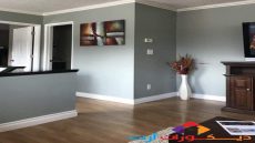 الوان دهانات فاتحه و أفضل أنواع دهانات الحوائط 2026